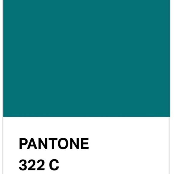 Nicole Lee URBAN CHIC FOLD-OVER HANDBAG - Picture 15 of 15